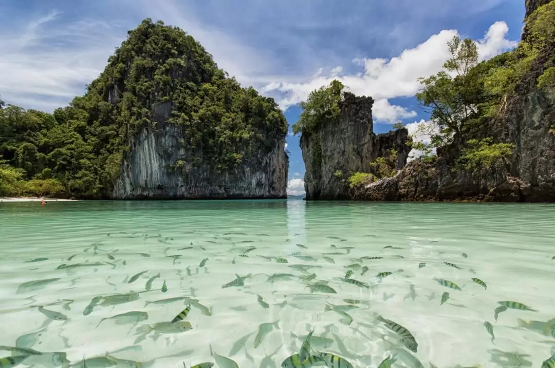 From Krabi: Koh Hong Day Tour by Speedboat