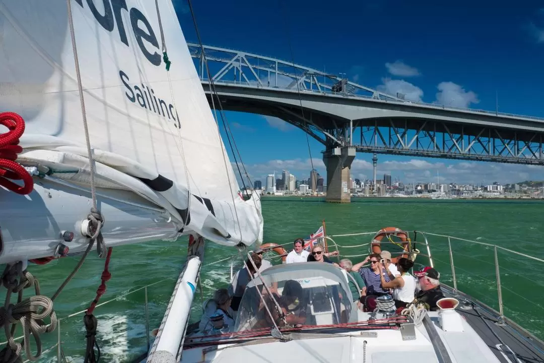 Auckland Harbour Sailing Cruise