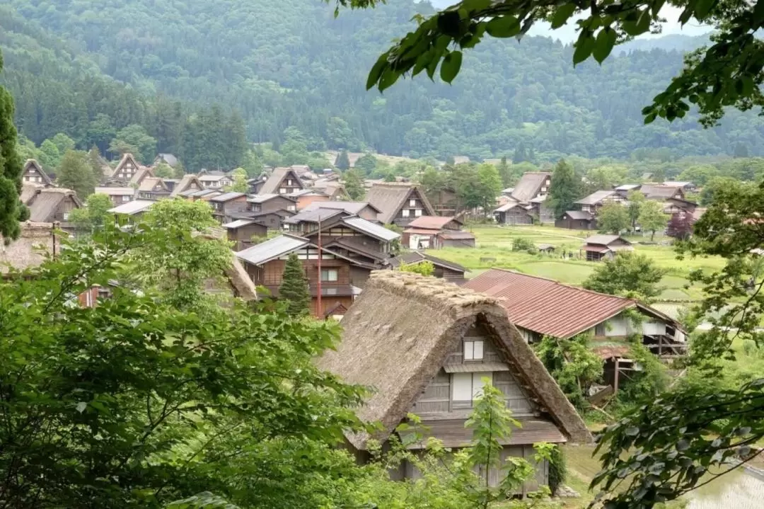 高山 ＆ 白川鄉一日遊（高山出發）