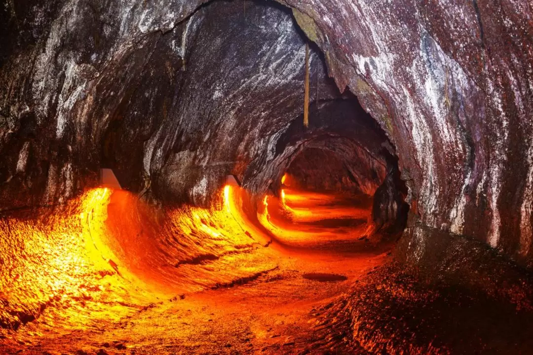 夏威夷火山探索之旅