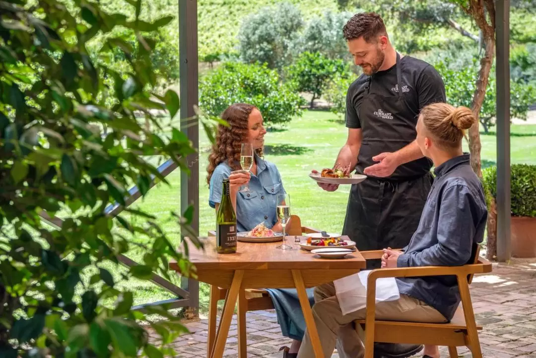 Explore, Wine & Dine in McLaren Vale