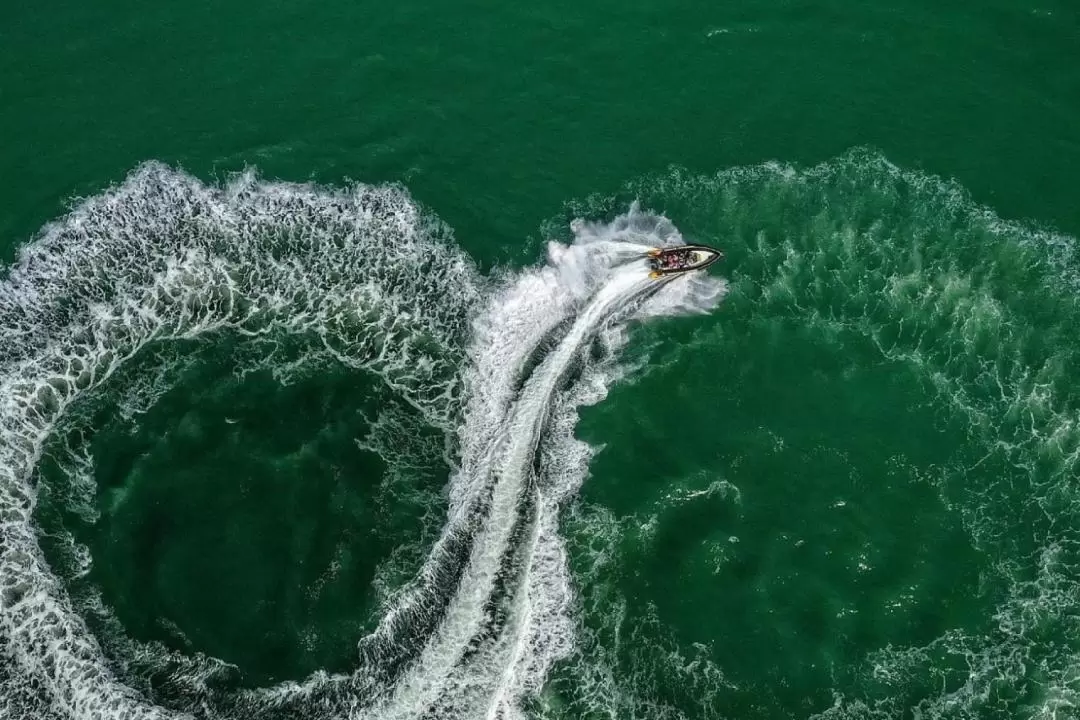 莫洛拉巴海滨激流泛舟体验＆赏海龟之旅