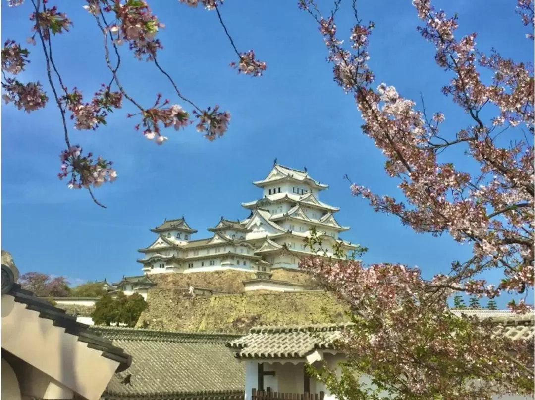 與傳統日本木匠來場姬路城之旅