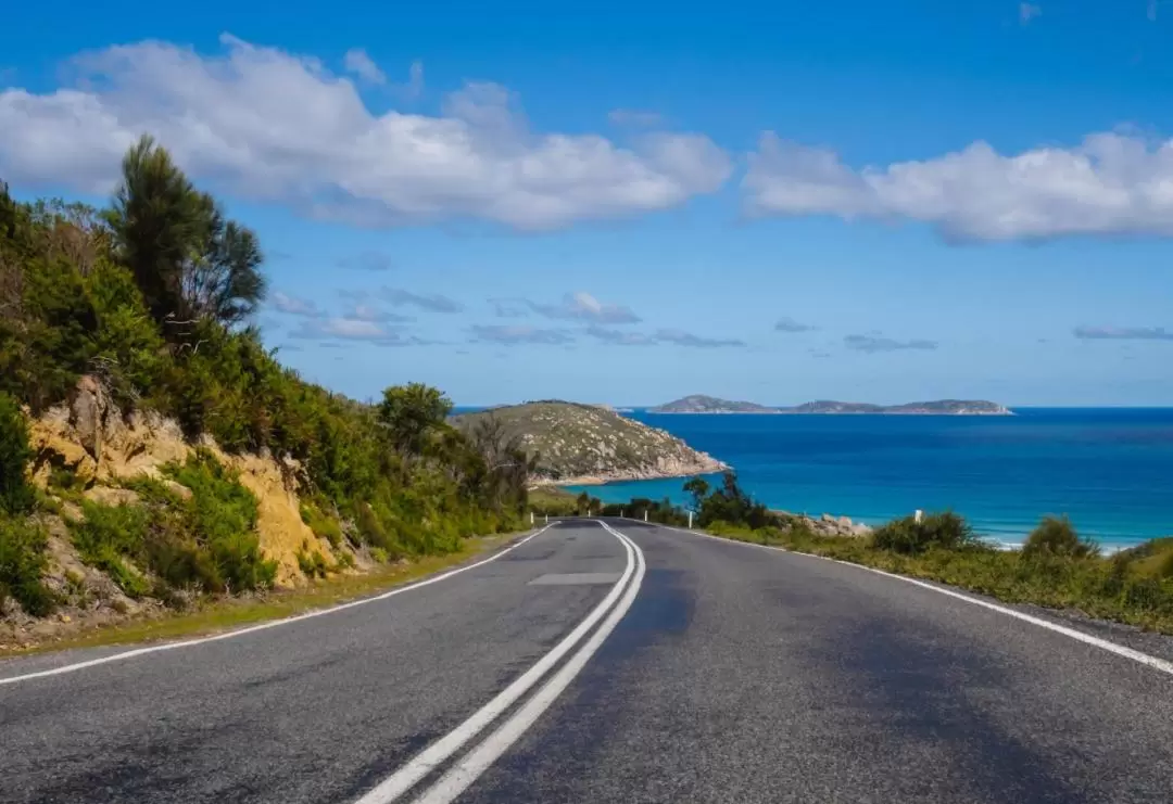 Wilsons Promontory Hiking Day Tour