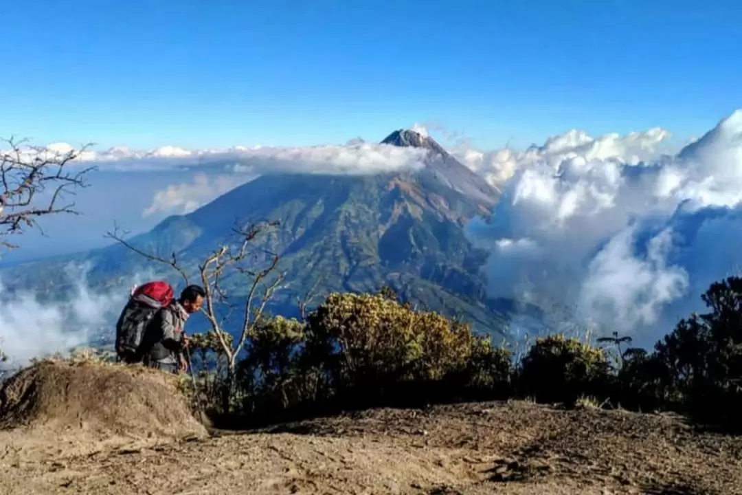 2D1N Private Mount Merbabu Trekking Tour from Yogyakarta