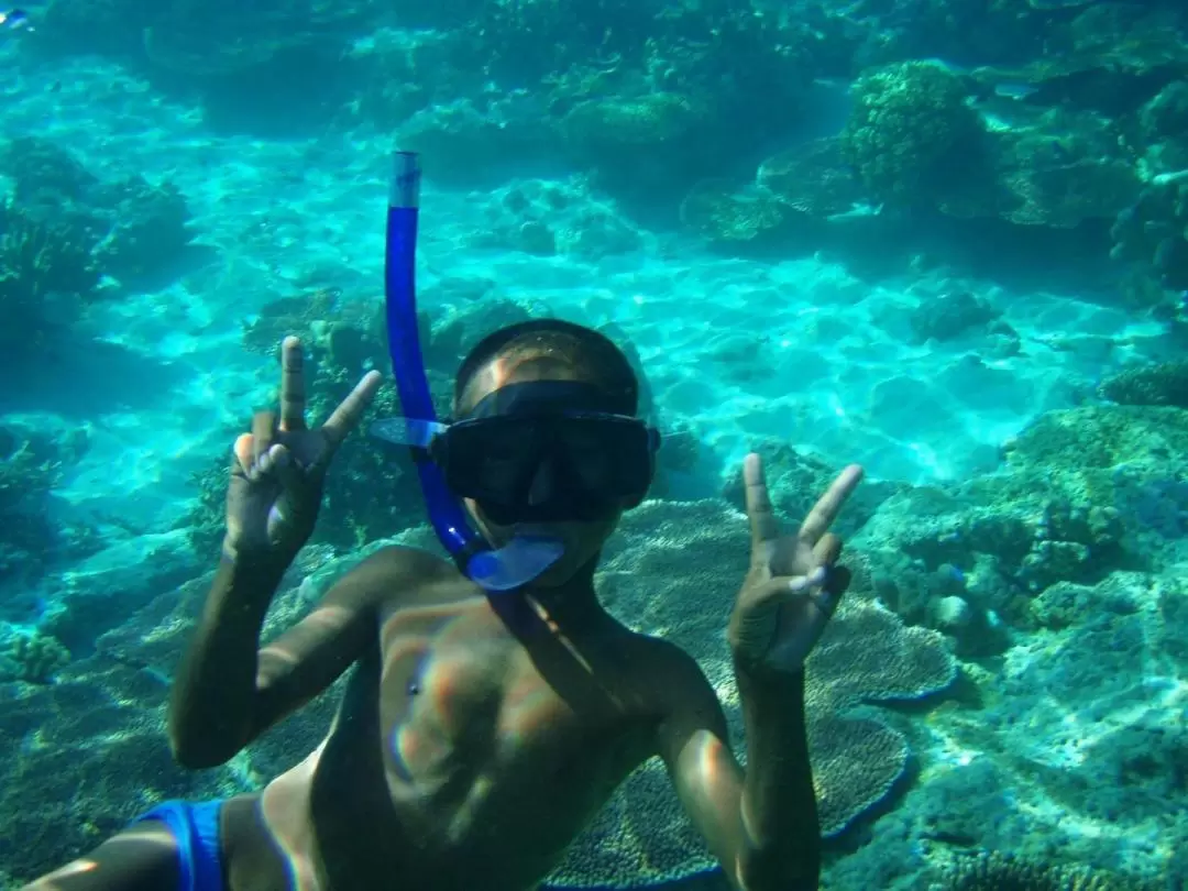 Semporna Island Snorkeling Experience