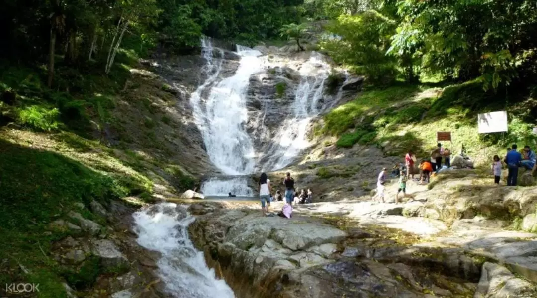 Cameron Highlands Day Tour from Penang