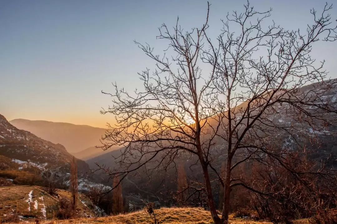 Alpujarra One Day Tour from Granada