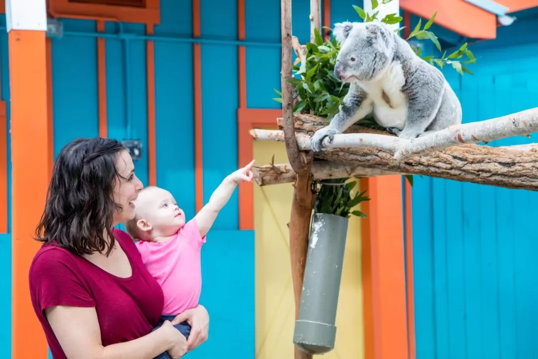 ロウリーパーク動物園 入園チケット（タンパ）