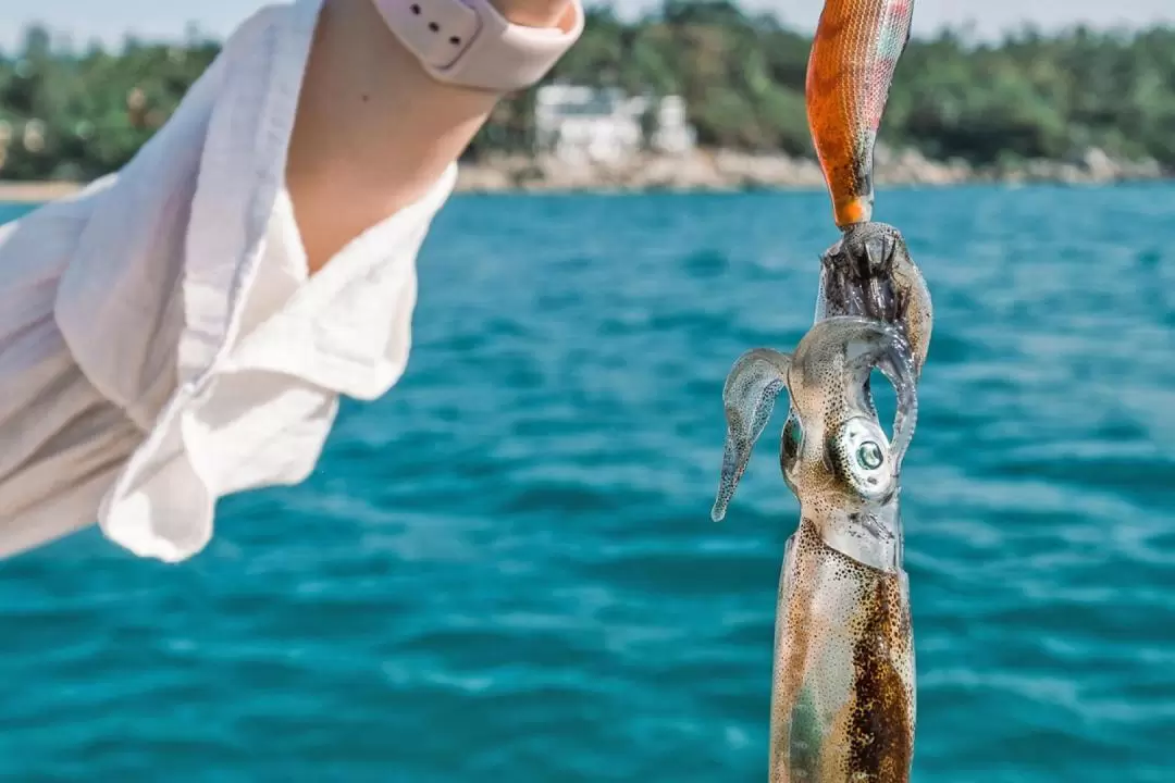 リペ島 魚・イカ釣り日帰りツアー（貸切ロングテールボート）