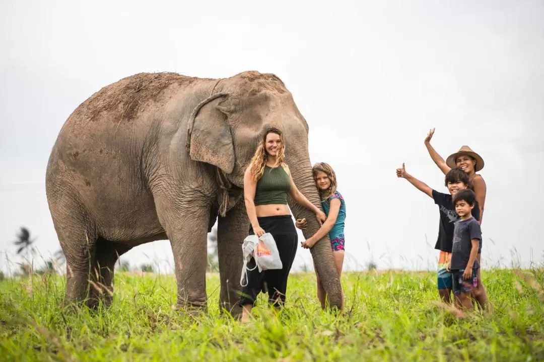 Elephant Jungle Sanctuary Pattaya Experience