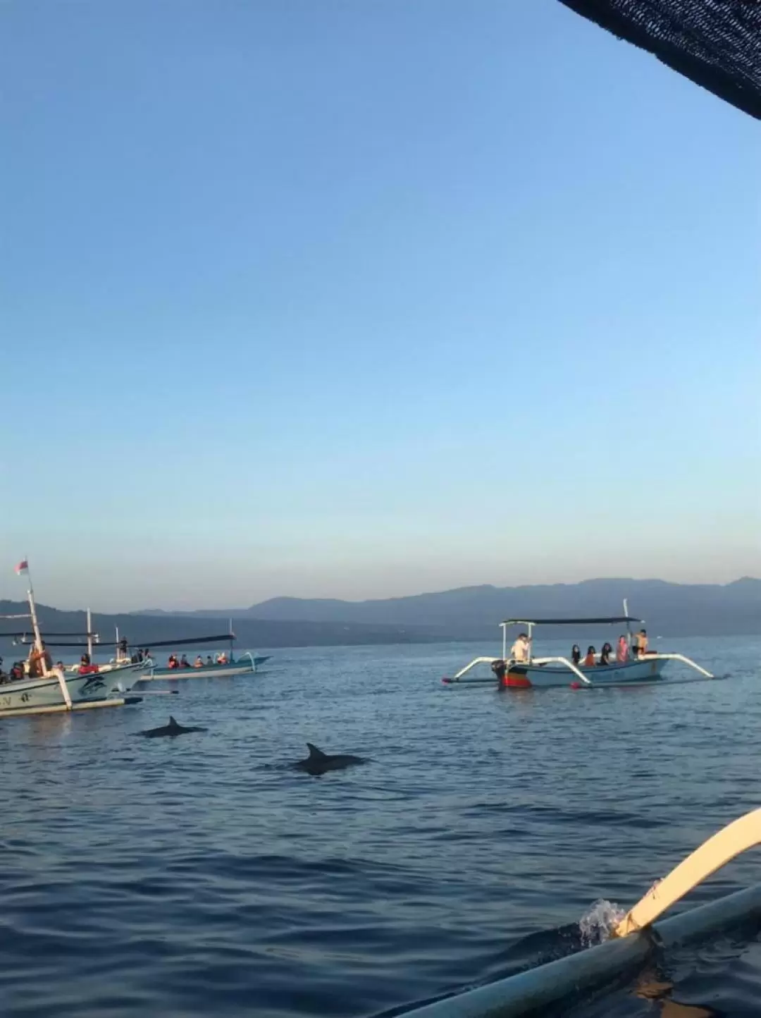 巴厘島羅維納海灘海豚觀賞 & 浮潛之旅