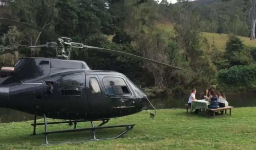 Scenic Helicopter Flight with Winery Picnic