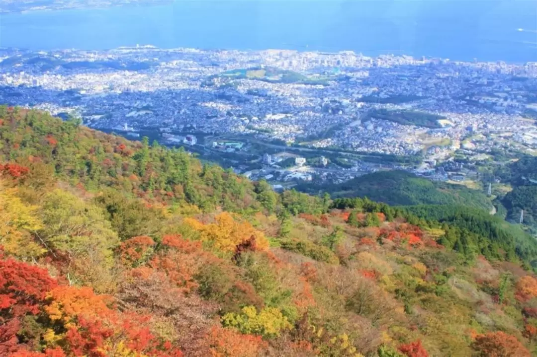 太宰府天滿宮 & 湯布院町 & 別府一日遊（福岡出發）