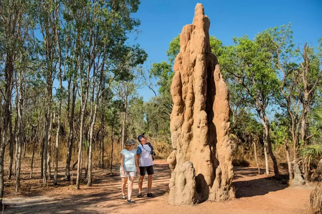 Litchfield National Park Waterfalls Day Tour