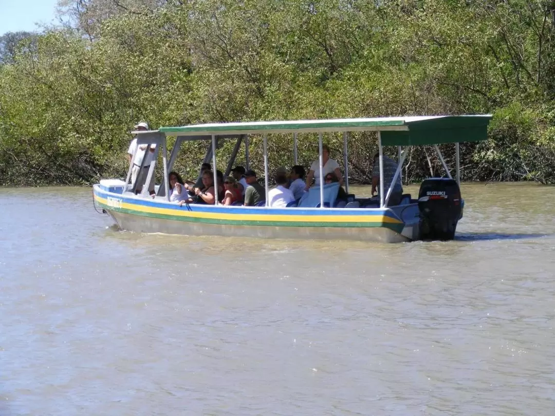 Palo Verde National Park Jungle River Cruise Tour