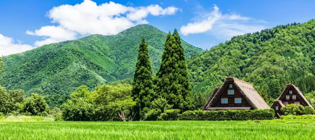 白川鄉＆高山市一日遊（名古屋出發）