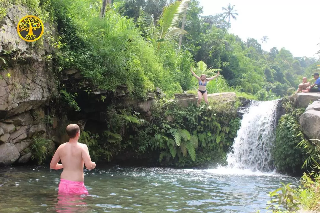 Sekumpul Waterfall and Gate of Heaven Private Trip in Bali with Lunch