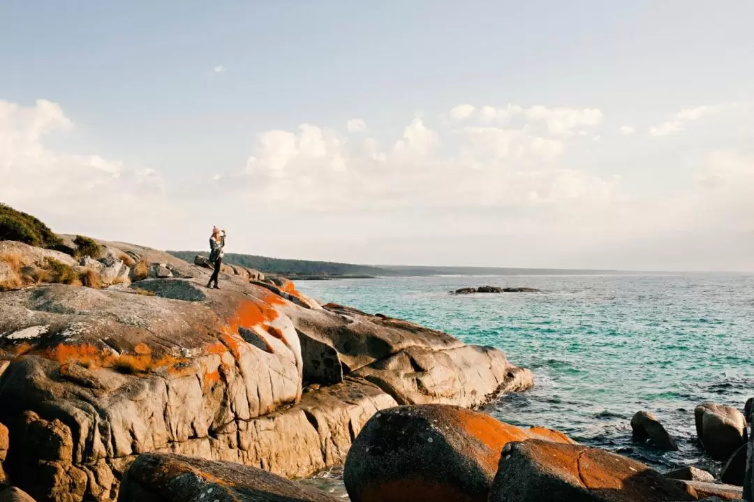 Bay of Fires Day Tour from Launceston