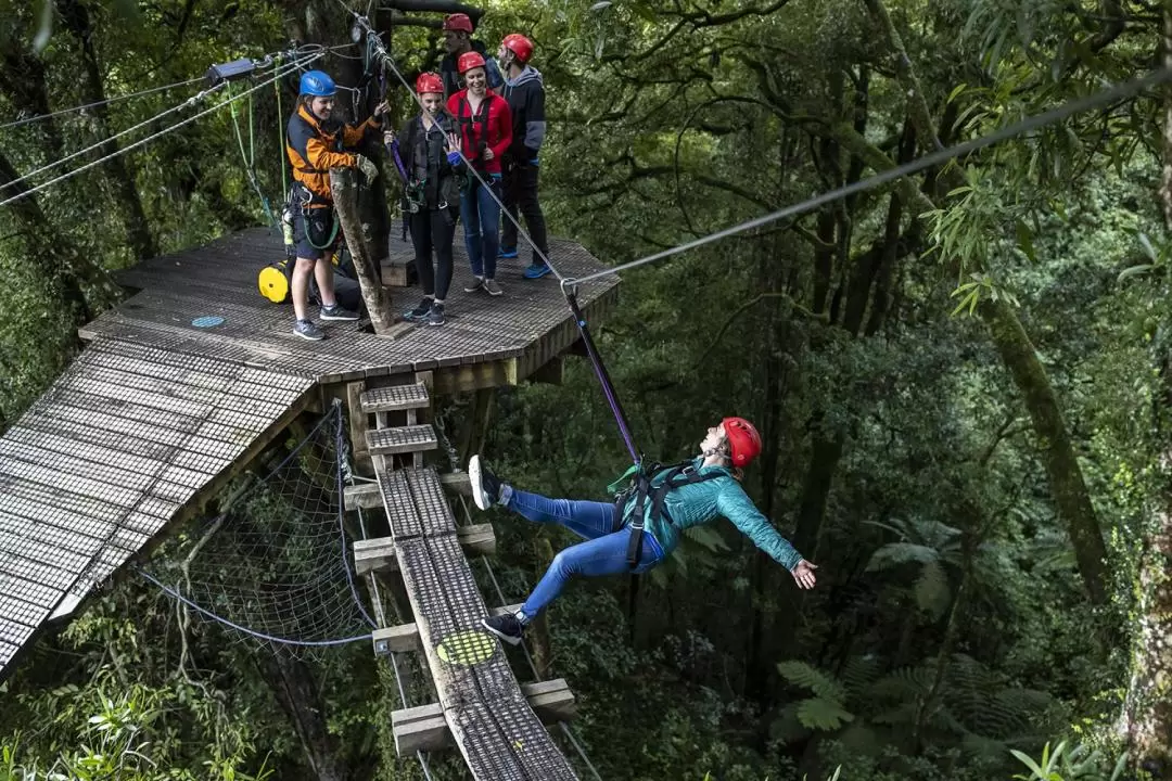 Forest Ziplining Experience in Rotorua