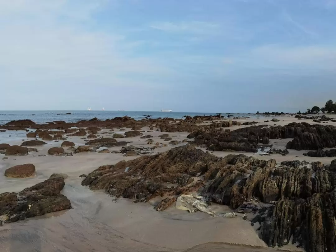 Desaru Beach and Tide Pool Walking Tour 