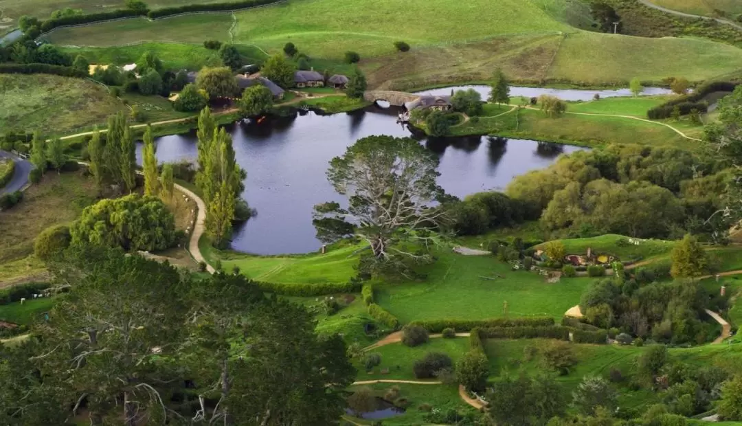 Hobbiton & Waitomo Day Tour from Auckland to Rotorua