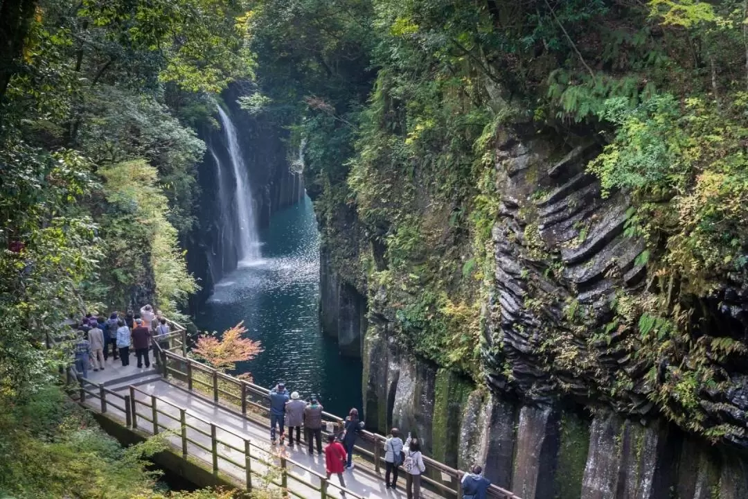 Miyazaki One Day Tour from Fukuoka with Japanese Beef Lunch