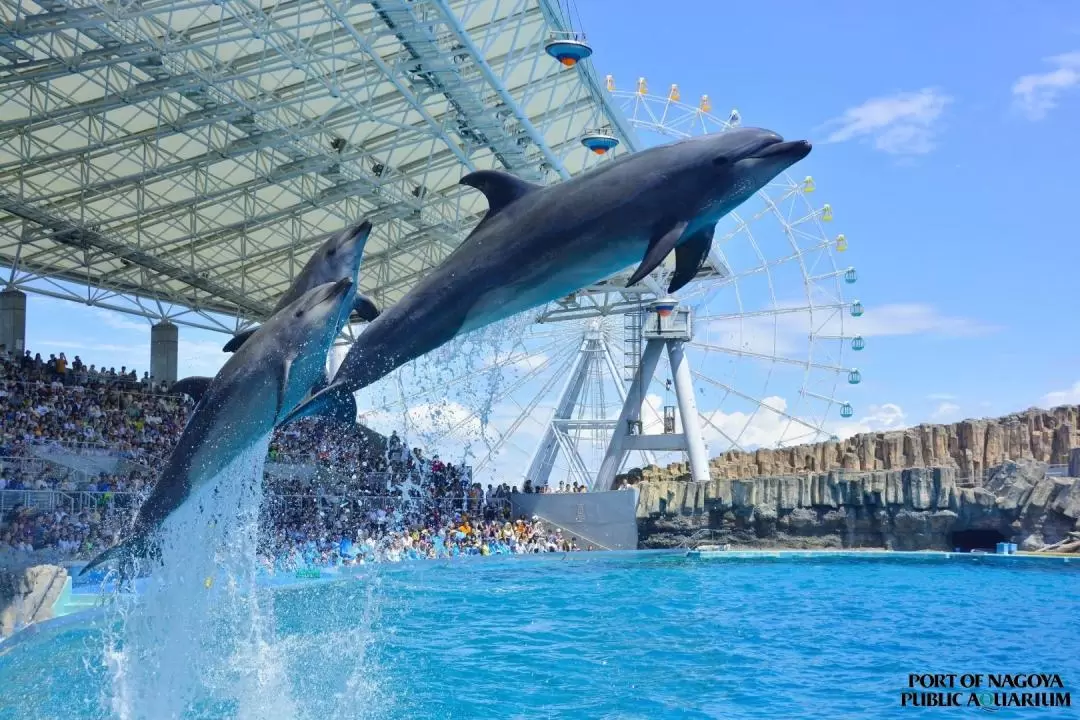 Port of Nagoya Public Aquarium Ticket