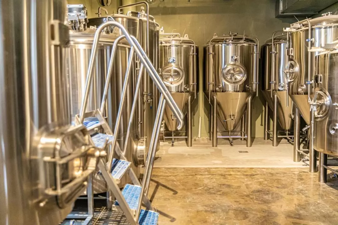 Cairns Brewery and Distillery Half Day Tour