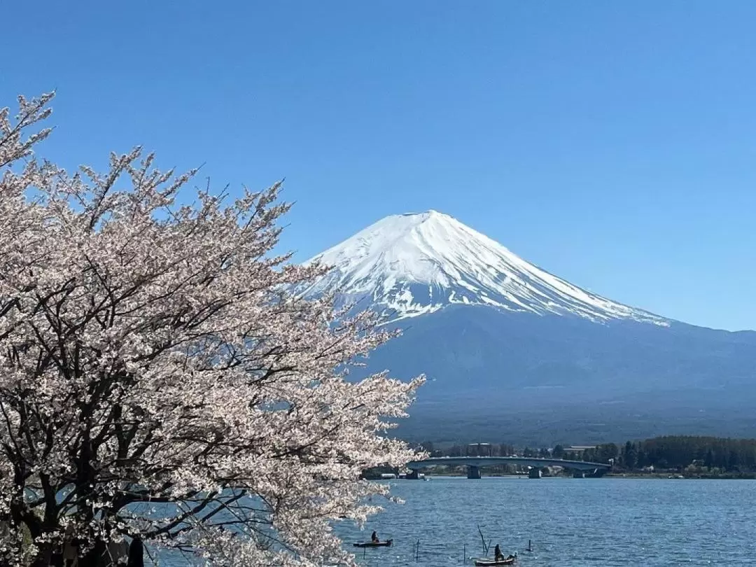 Mount Fuji & Izu  & Shuzenji 2-Day Tour （Departure from Tokyo）