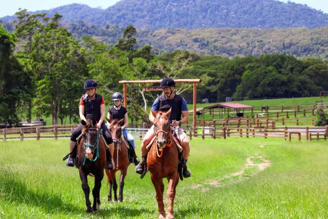 KUR-Cow Barnwell Farm Experience in Cairns