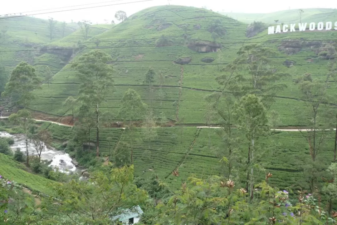 Nuwara Eliya 2 Day Tour from Colombo