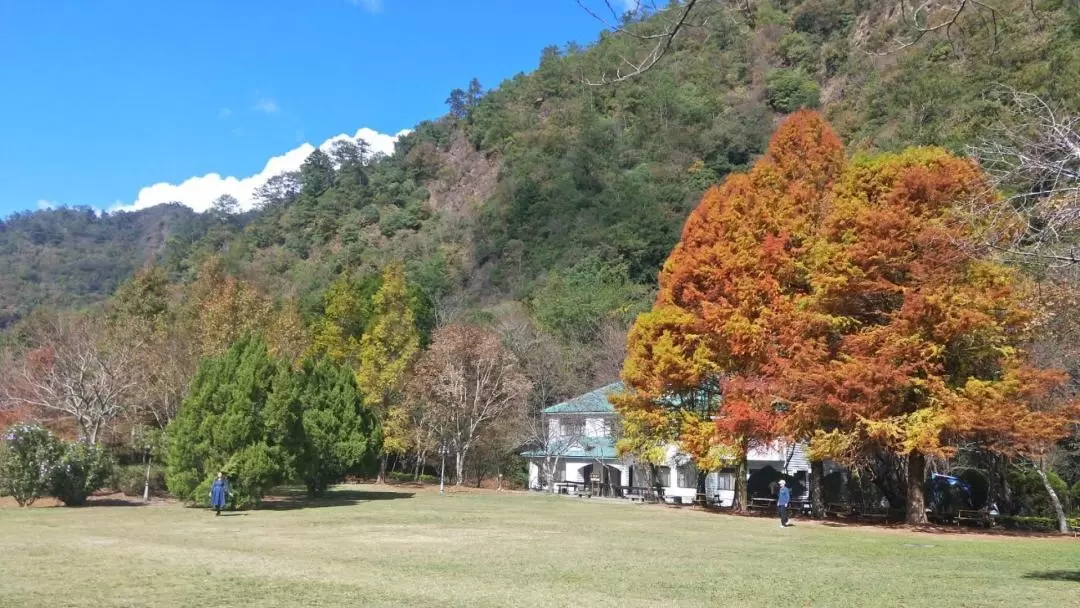 Aowanda and Buqaiz Day Tour in Nantou