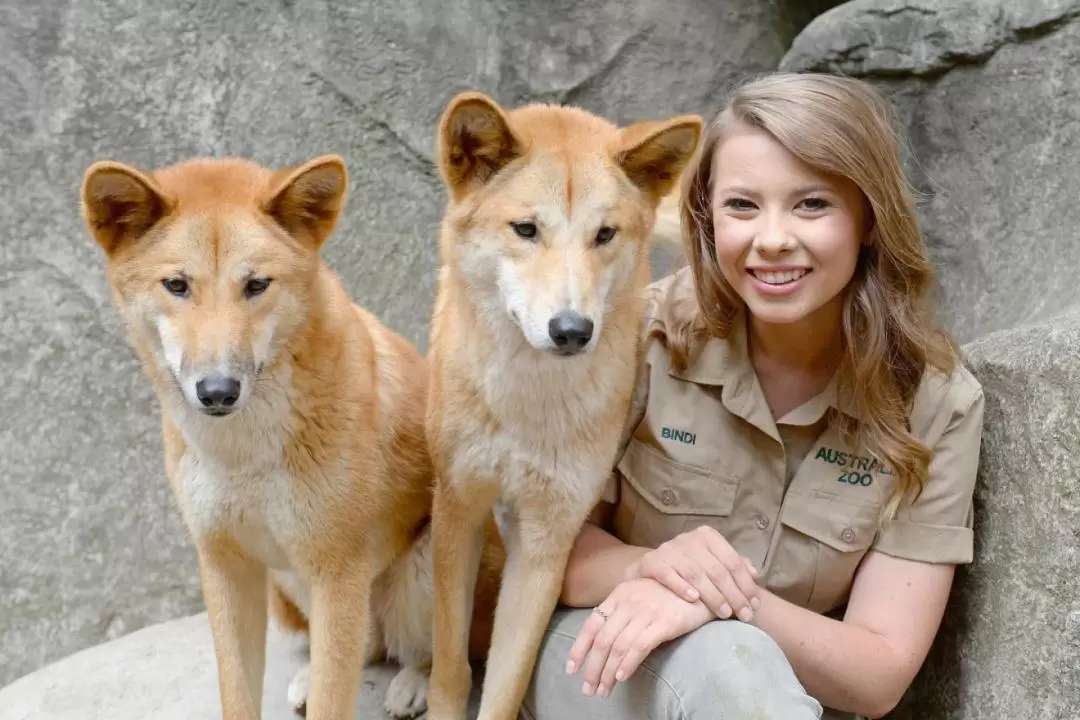 澳洲動物園＆野生動物醫院門票