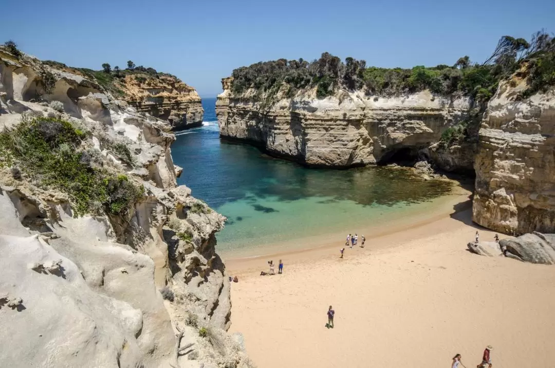 Great Ocean Road All Inclusive Day Tour with Lunch