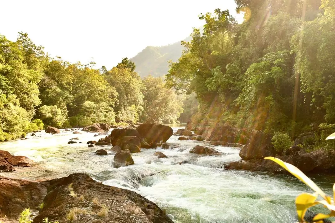 凱恩斯塔利河（Tully River）漂流