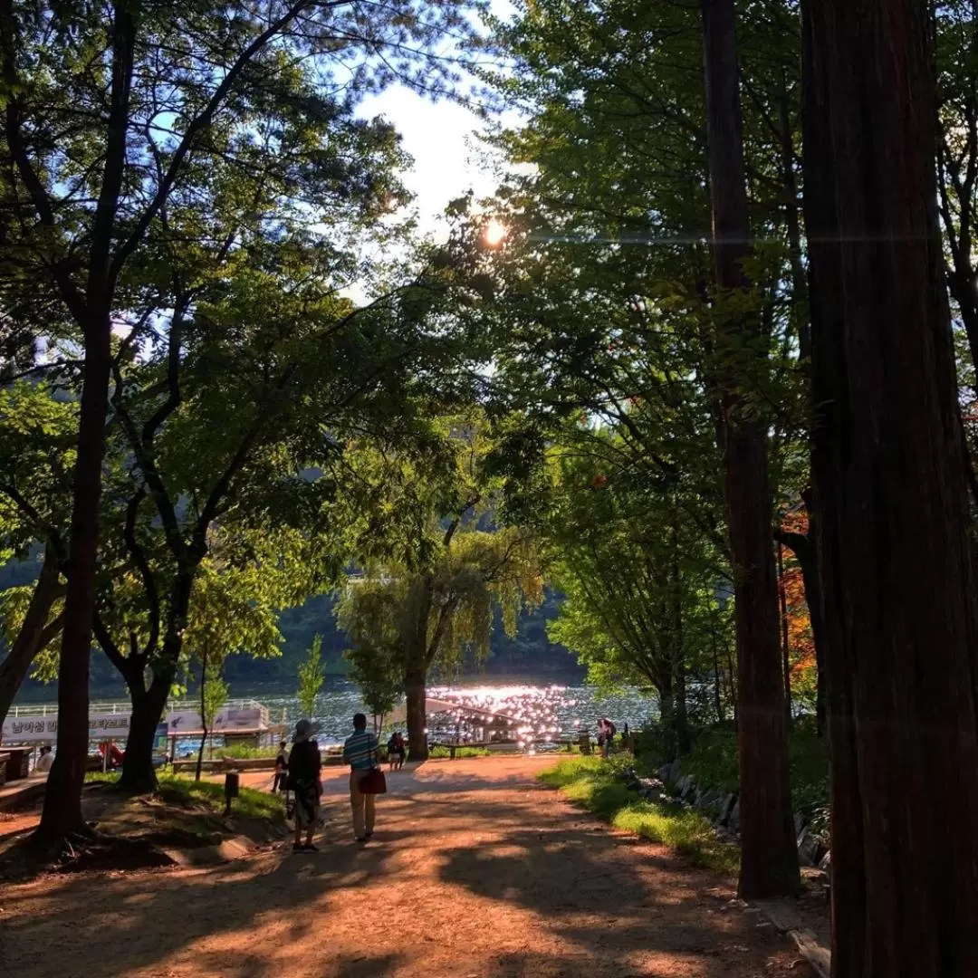 Nami Island & Gangchon Railbike & Morning calm 