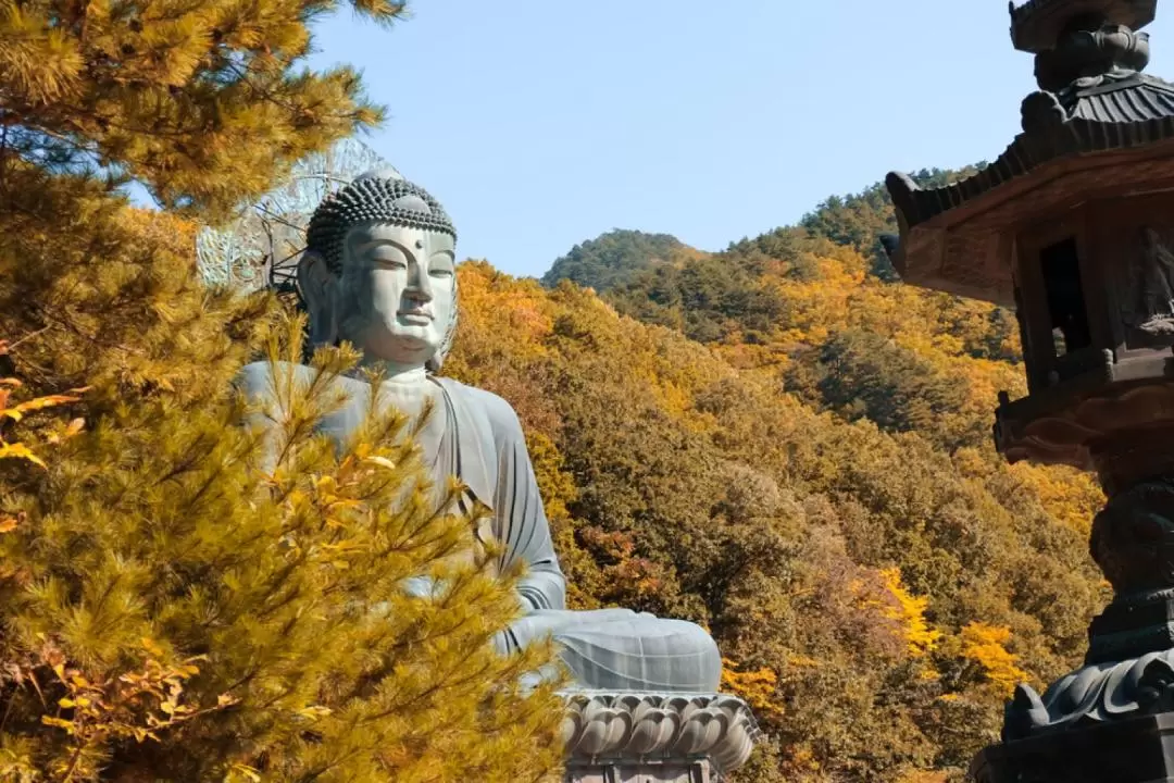 Nami Island & Mt. Seorak One Day Tour from Seoul