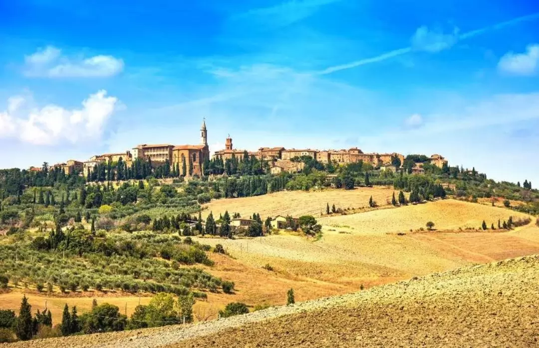 Tuscan Food and Wine Tour of Val d'Orcia from Siena