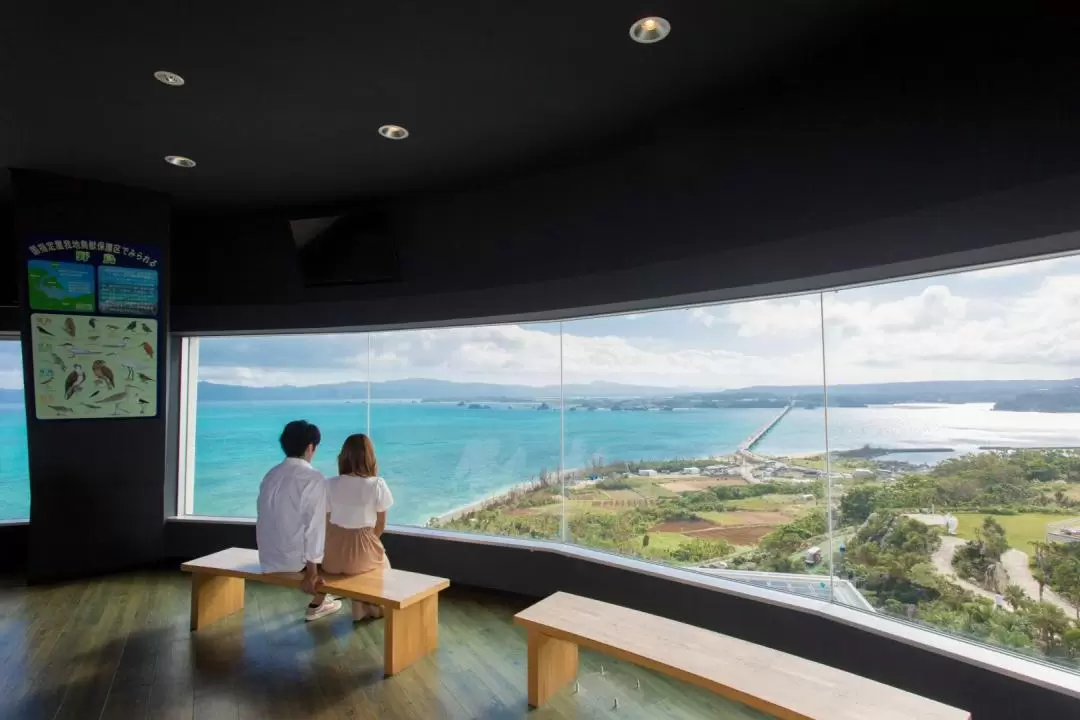 沖繩古宇利海洋塔展望台門票