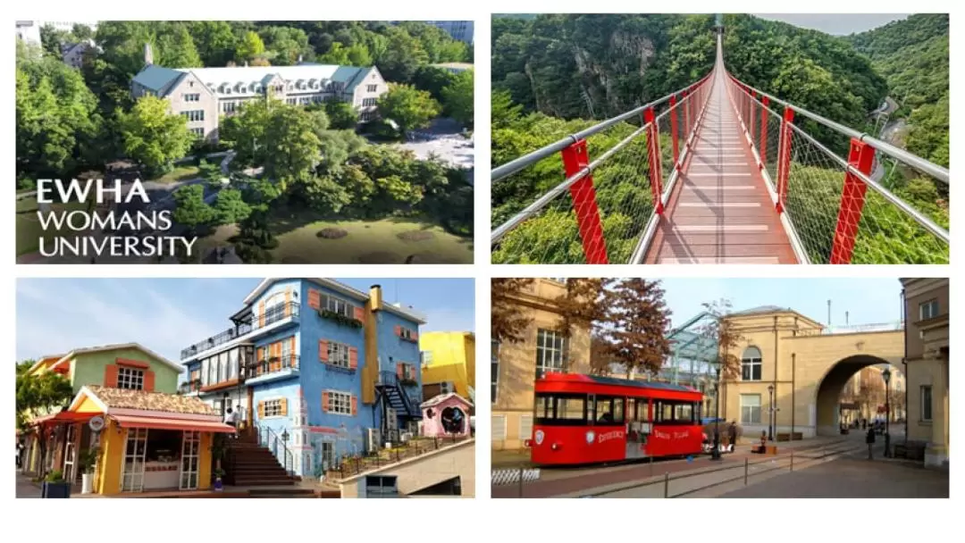 Provence Village & Drama Land & Suspension Bridge Tour from Seoul