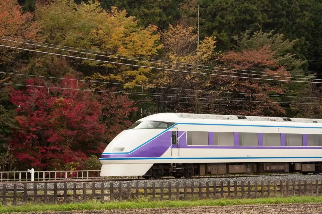 NIKKO PASS