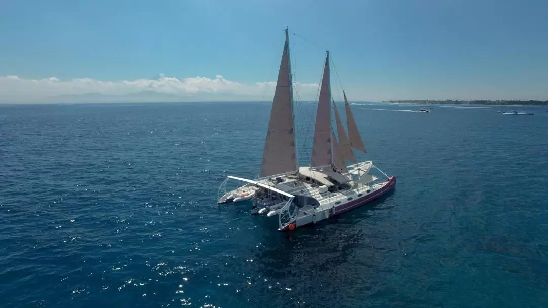 倫邦岸島（Nusa Lembongan）一日遊艇體驗