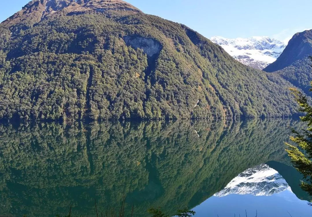 Milford Sound Day Tour from Queenstown or Te Anau by GreatSight