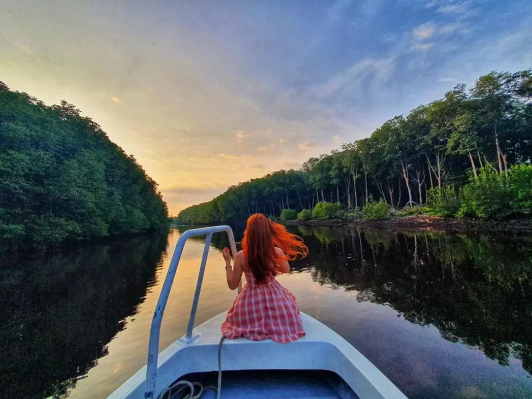 Bongawan Mangrove River Cruise, Fireflies, Sky Mirror Tour in Sabah