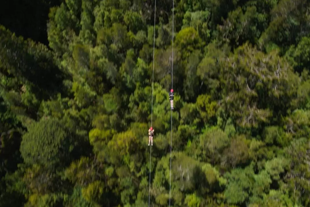 West Coast Tree Top Tower Zipline & Walkway