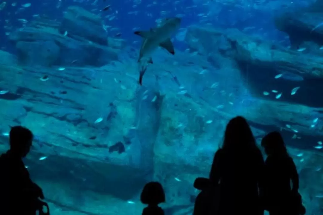 巴黎水族館門票