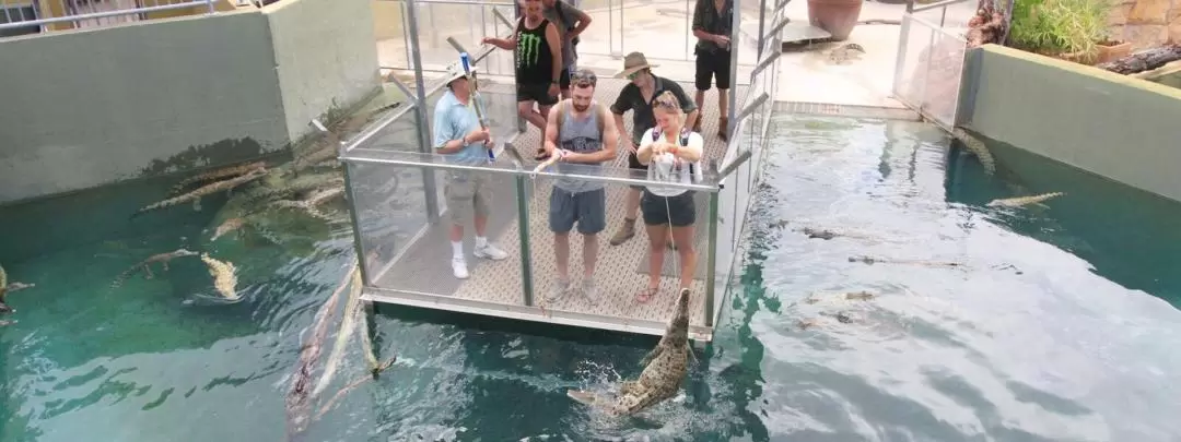 Big Croc Feeding and Guided Tour in Darwin