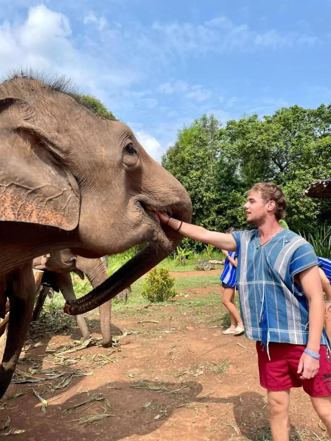 Elephant Sanctuary in Chiang Mai by Elephant Dream Project