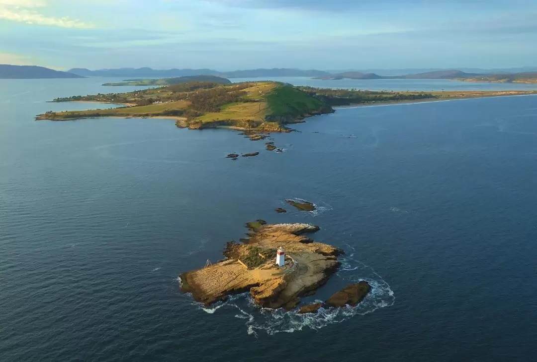 Iron Pot Lighthouse coastal eco-cruise from Hobart